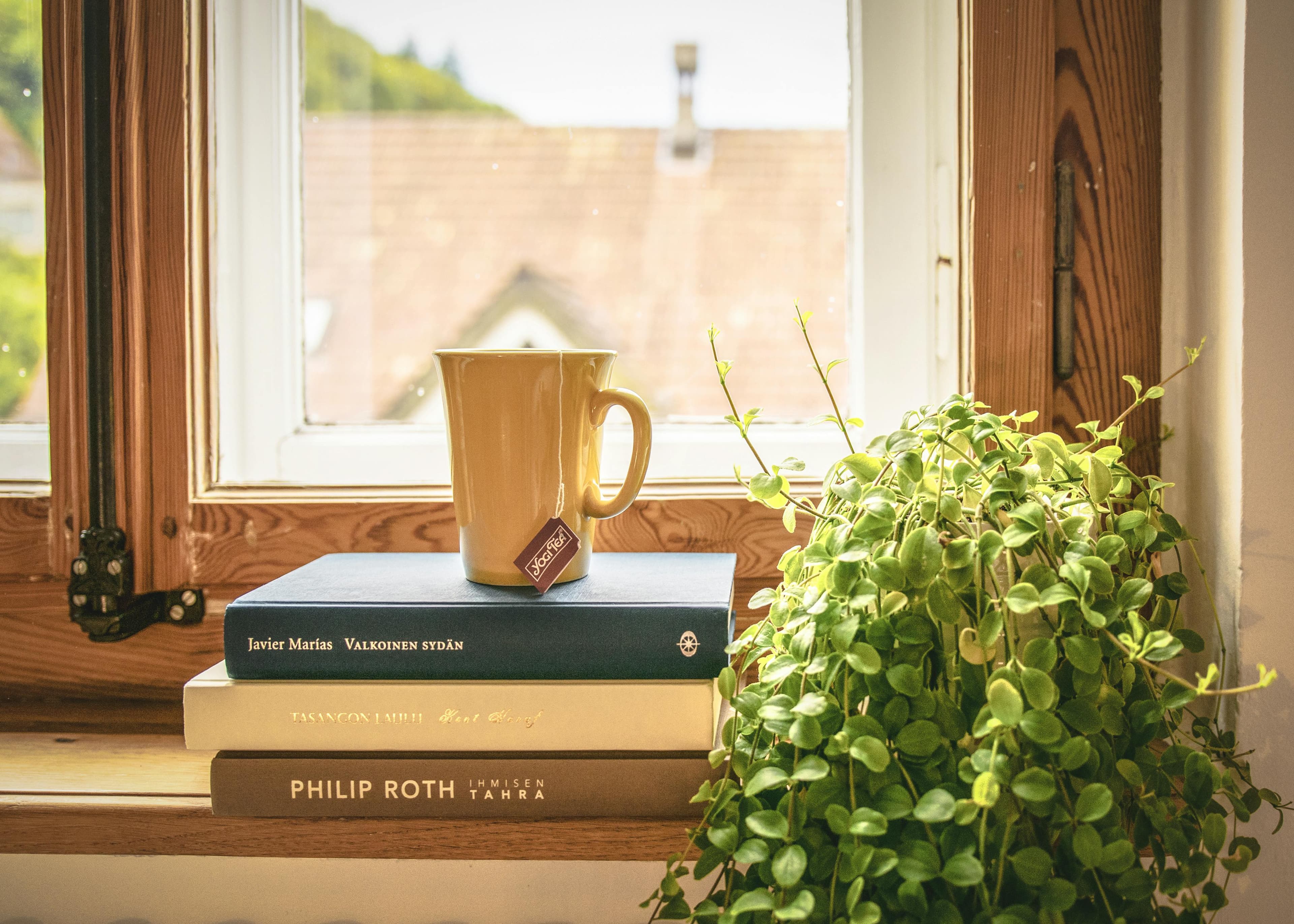 Books and tea by a sunlit window
